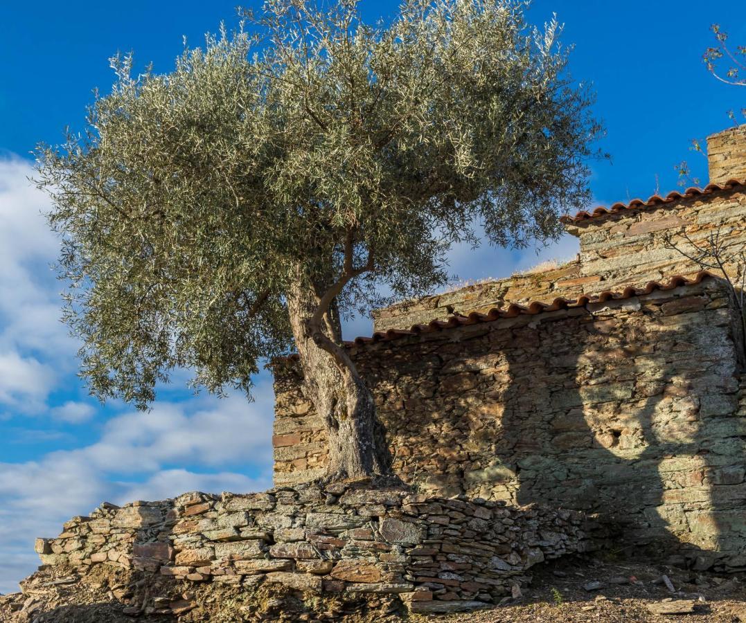 Bed and Breakfast Dois Lagares House Pinhão Esterno foto